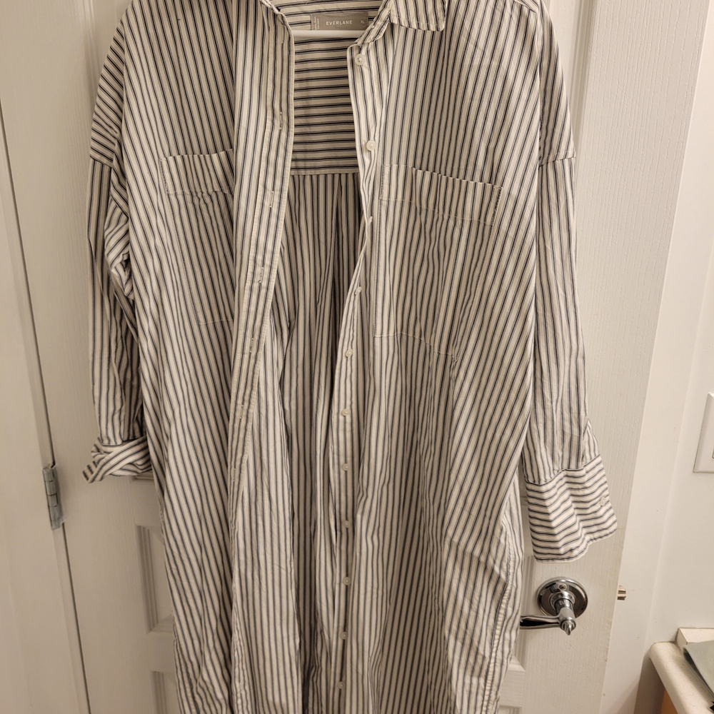 Everlane Navy and White Striped Shirt Dress